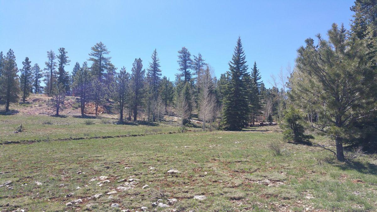 2255 E Knoll Road, SP #47, Duck Creek, UT 84762