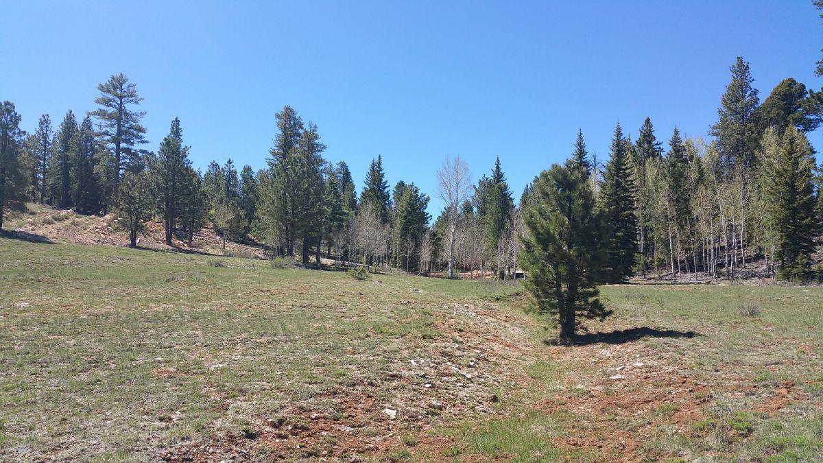 2255 E Knoll Road, SP #47, Duck Creek, UT 84762
