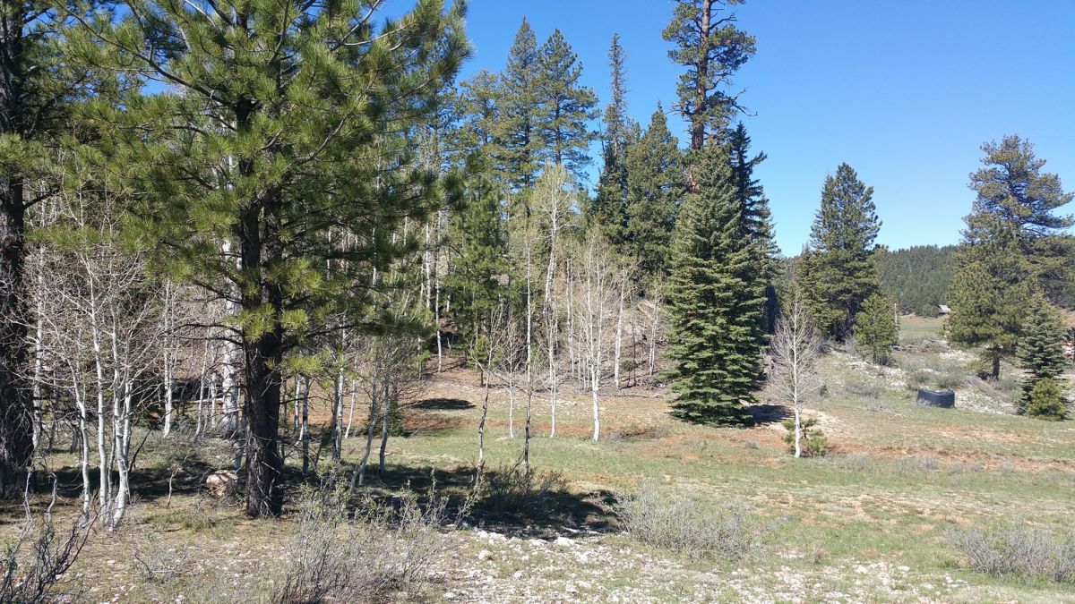 2255 E Knoll Road, Duck Creek Village, UT 84762
