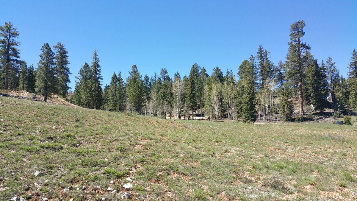2255 E Knoll Road, Duck Creek Village, UT 84762