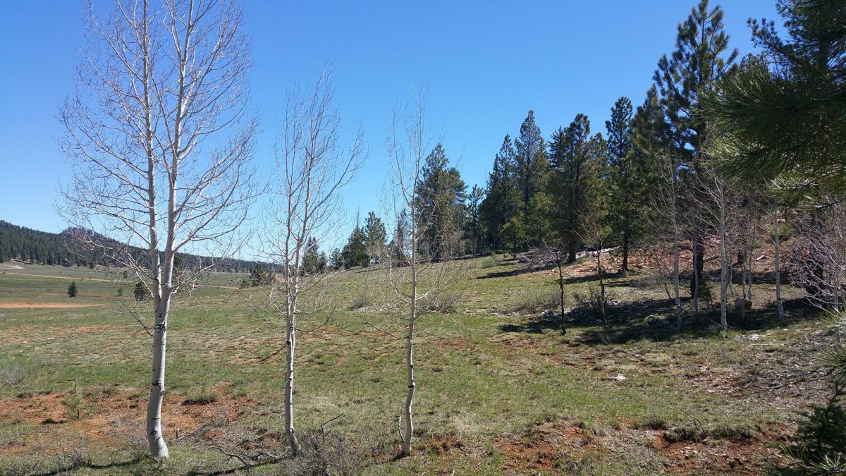 2255 E Knoll Road, Duck Creek Village, UT 84762