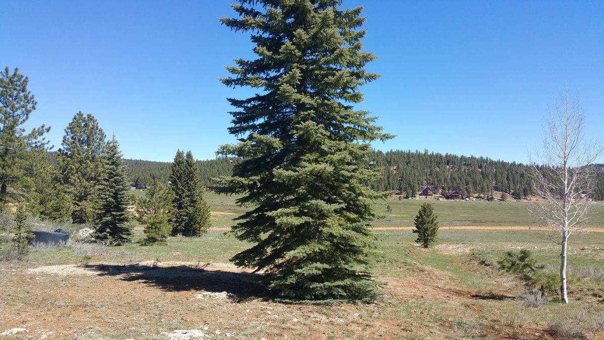 2255 E Knoll Road, Duck Creek Village, UT 84762