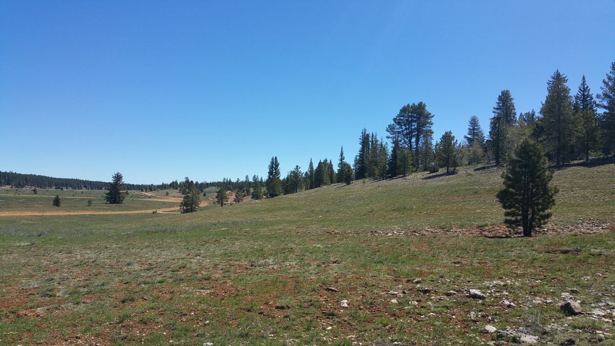 2255 E Knoll Road, Duck Creek Village, UT 84762