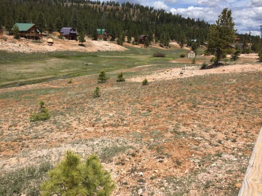 165 N Pinetree Trail, Duck Creek Village, UT 84762