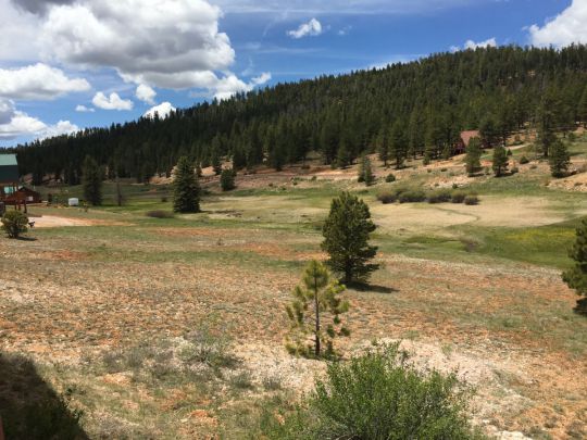 165 N Pinetree Trail, Duck Creek Village, UT 84762