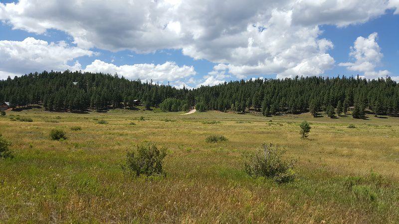 1 E Meadow LN, Duck Creek, UT 84762