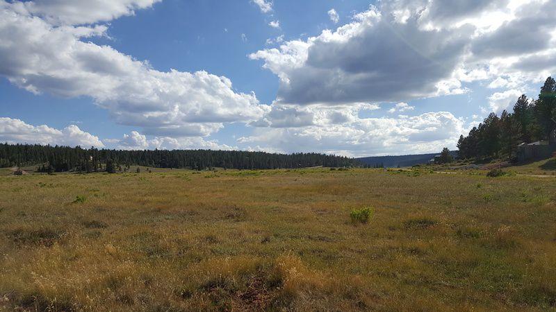 1 E Meadow LN, Duck Creek, UT 84762