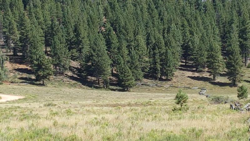 1 E Meadow LN, Duck Creek, UT 84762