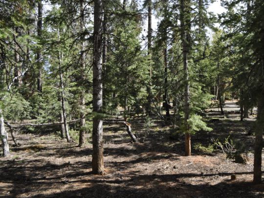 740 E Pinecrest Dr, Duck Creek Village, UT 84762