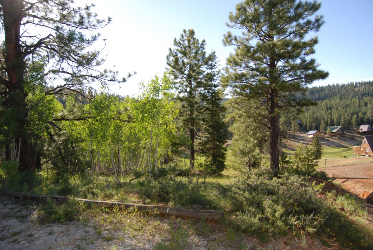 95/115 N Pinetree #1A, Duck Creek Village, UT 84762