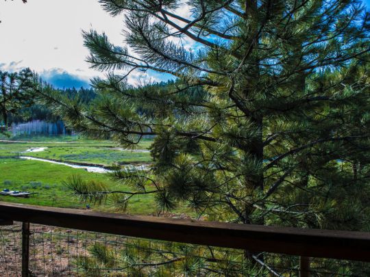1865 E Strawberry Point Rd, Duck Creek Village, UT 84762