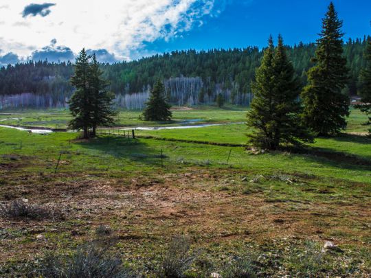 1865 E Strawberry Point Rd, Duck Creek Village, UT 84762