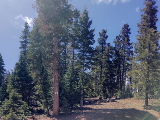 2870 N Smith & Wesson Cir, Duck Creek Village, UT 84762