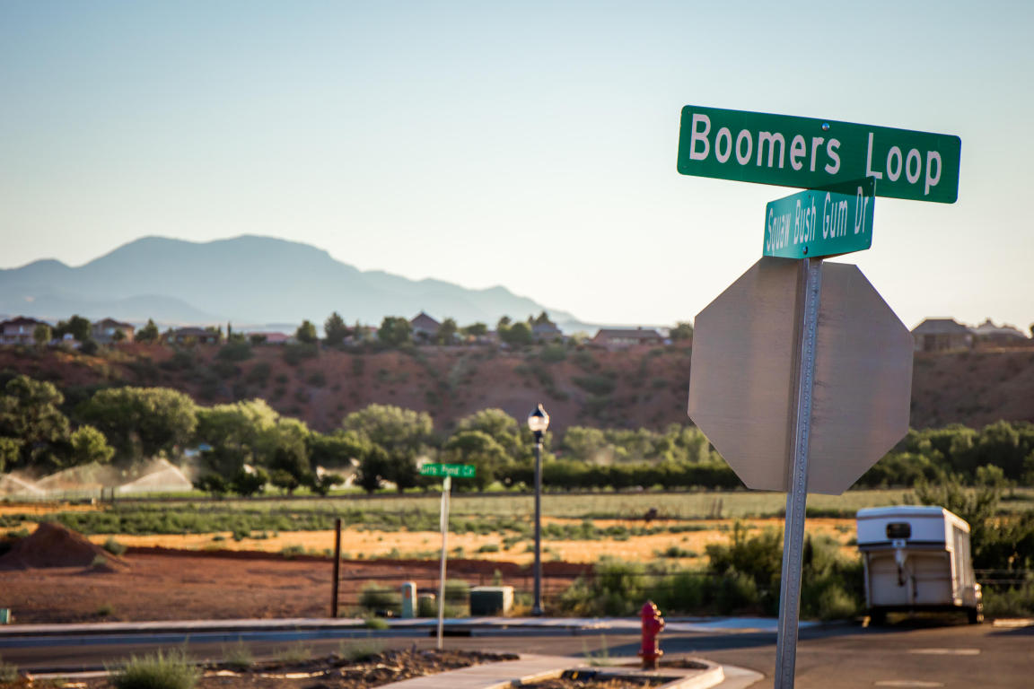 1533 BOOMERS Loop, Santa Clara, UT 84765