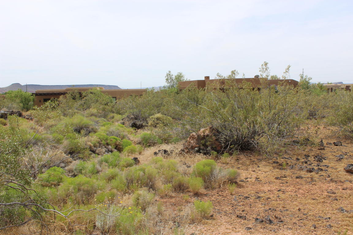 Pioneer Parkway, Santa Clara, UT 84765