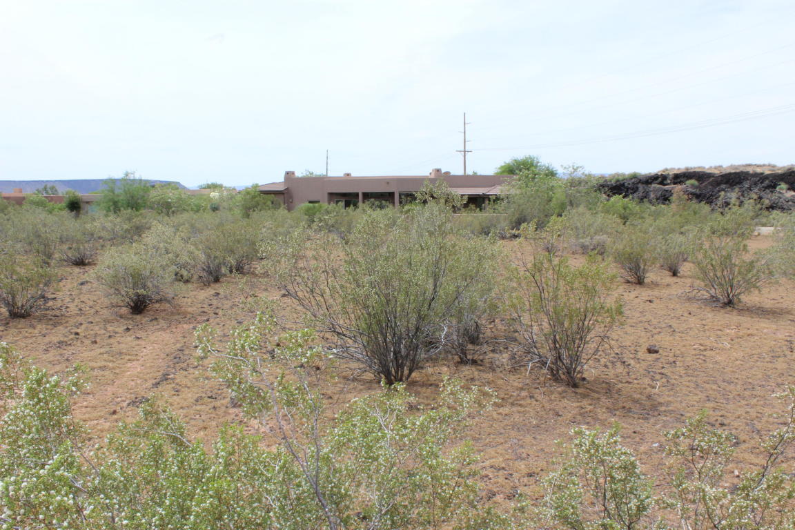 Pioneer Parkway, Santa Clara, UT 84765