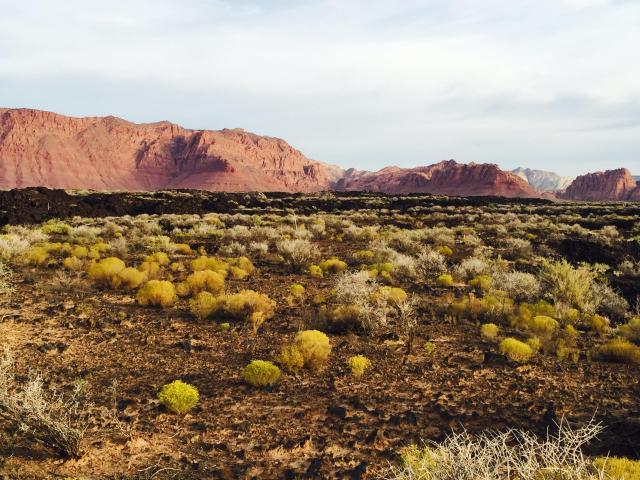 Chaco West, Kiva Trail, St George, UT 84770