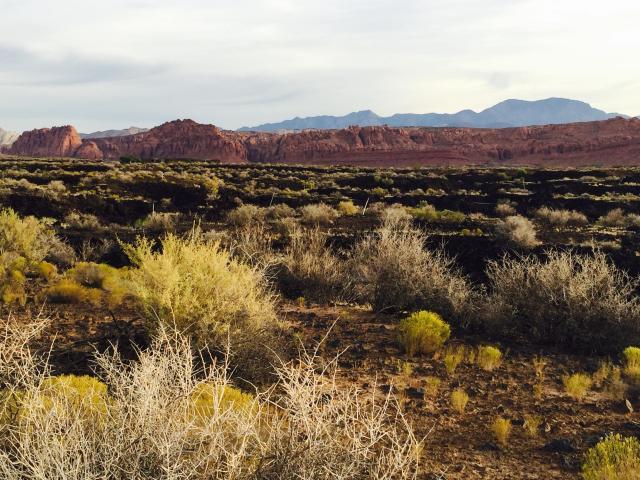Chaco West, Kiva Trail, St George, UT 84770