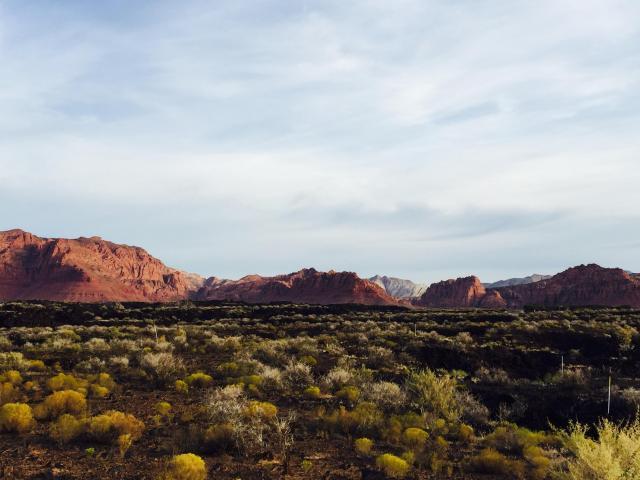 Chaco West, Kiva Trail, St George, UT 84770