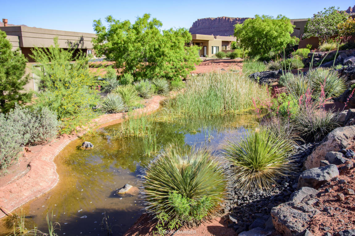 Tuweap Point, St George, UT 84770