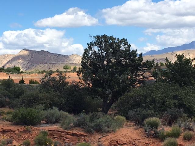Long Sky DR, St George, UT 84770