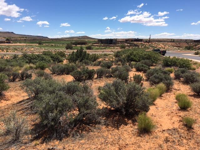 Long Sky DR, St George, UT 84770