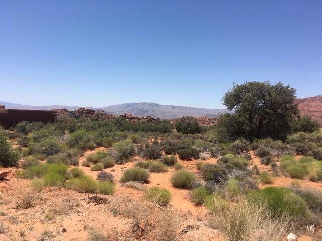Petroglyph DR S, St George, UT 84770