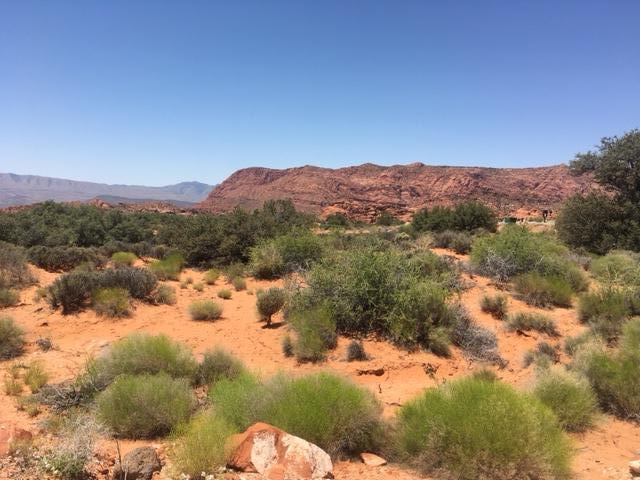 Petroglyph DR S, St George, UT 84770