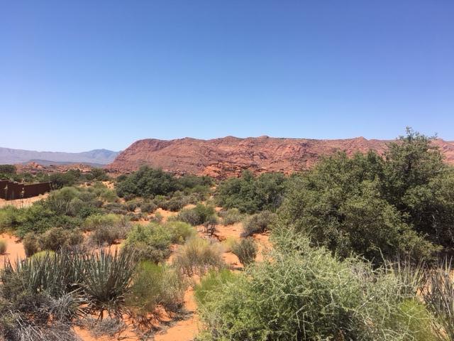 Petroglyph DR S, St George, UT 84770