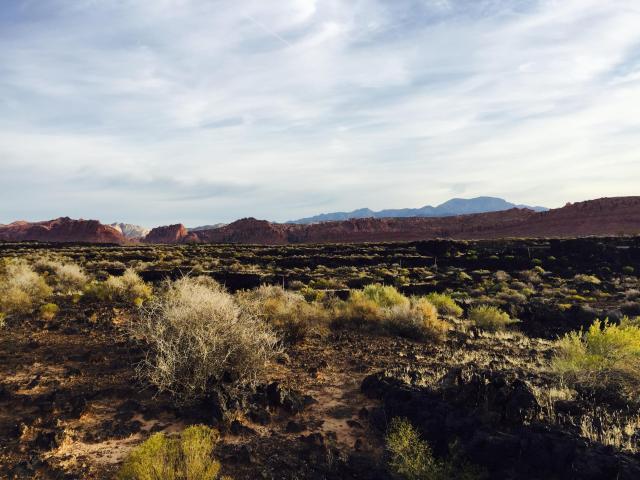 Chaco West, Kiva Trail, St George, UT 84770