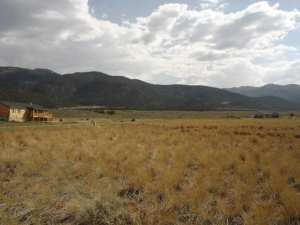 3202 W Allard Ranch, Summit, UT 84772