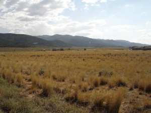 3202 W Allard Ranch, Summit, UT 84772