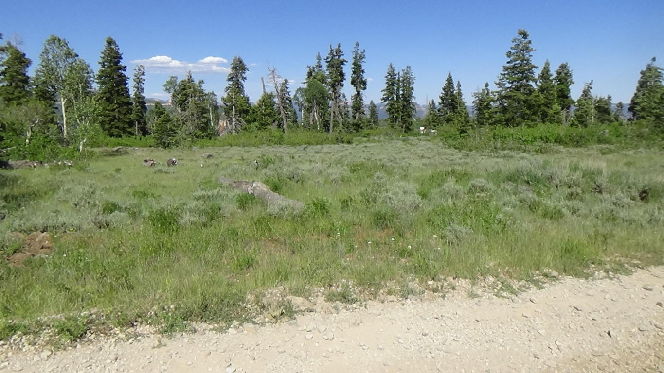 272 N Terrace DR, Virgin, UT 84779
