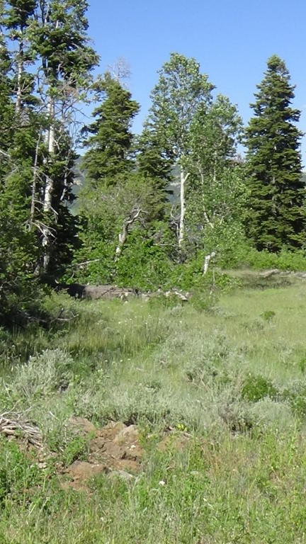 272 N Terrace DR, Virgin, UT 84779
