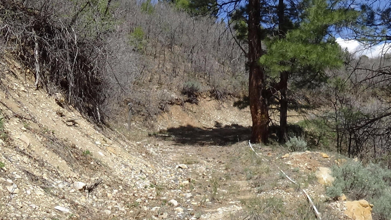 Lot #12 Anna CIR, Virgin, UT 84779