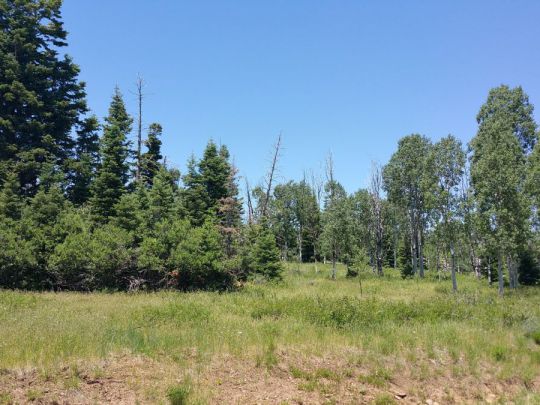 Whispering Pines Lot 21, Virgin, UT 84779