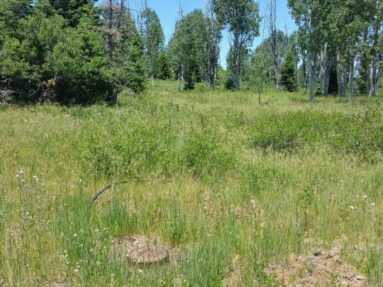 Whispering Pines Lot 21, Virgin, UT 84779