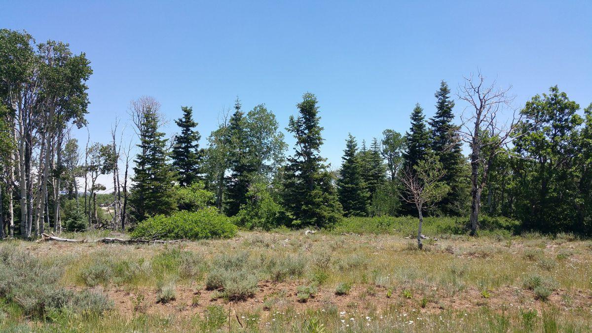 Whispering Pines Lot #27, Virgin, UT 84779