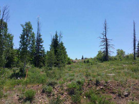 Whispering Pines Lot 57, Virgin, UT 84779