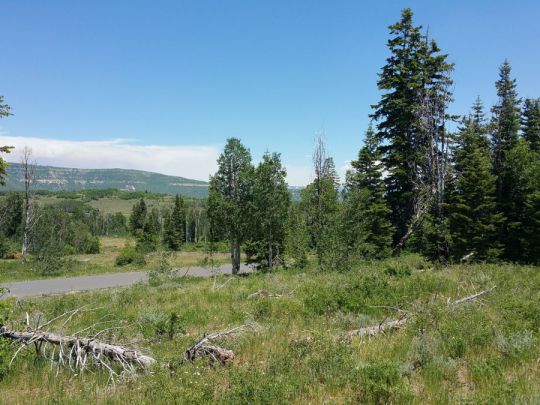 Whispering Pines Lot 57, Virgin, UT 84779