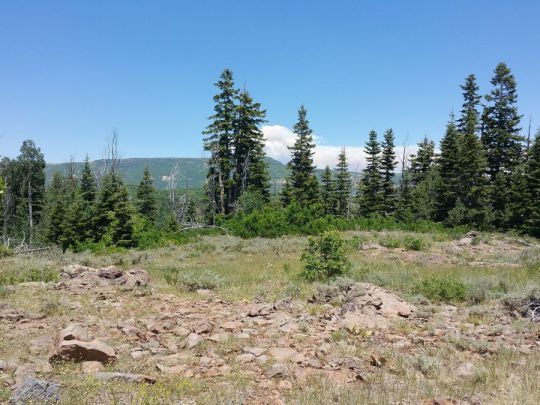 Whispering Pines Lot 57, Virgin, UT 84779