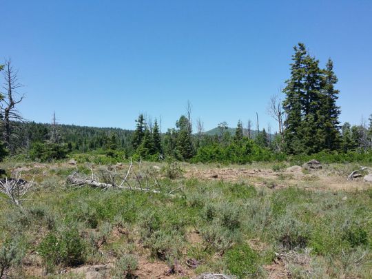 Whispering Pines Lot 57, Virgin, UT 84779