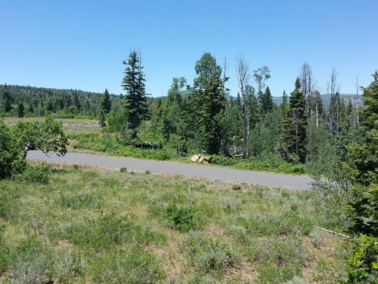 Whispering Pines Lot 57, Virgin, UT 84779