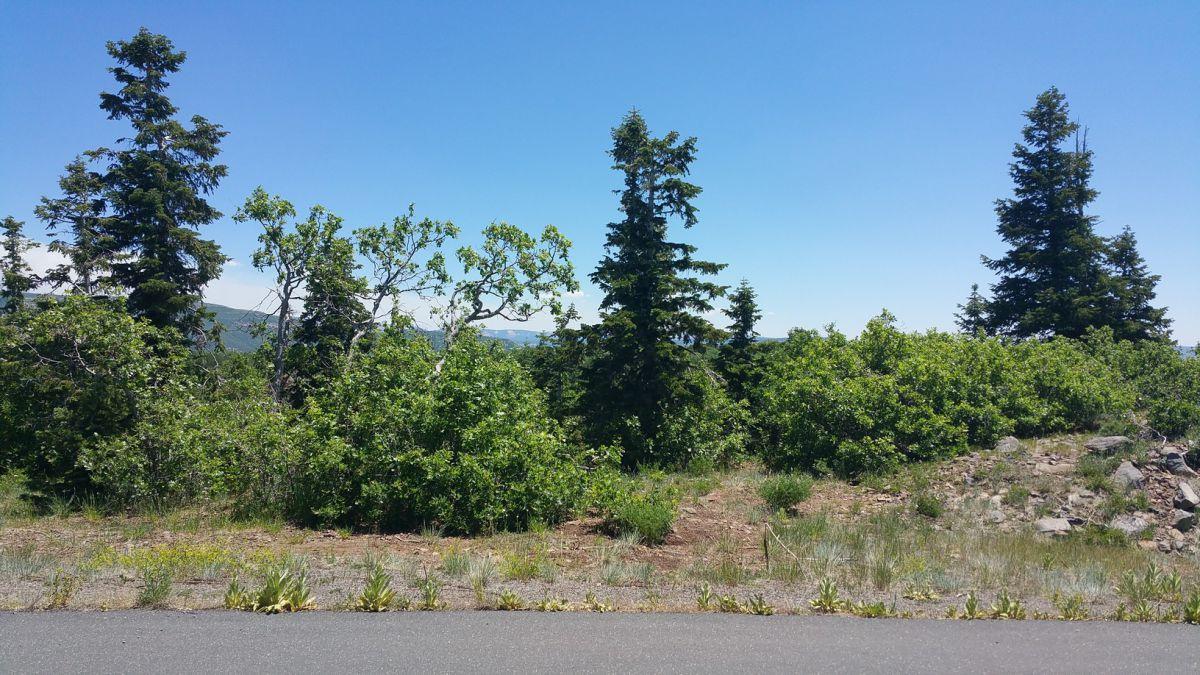 Whispering Pines Lot #7, Virgin, UT 84779