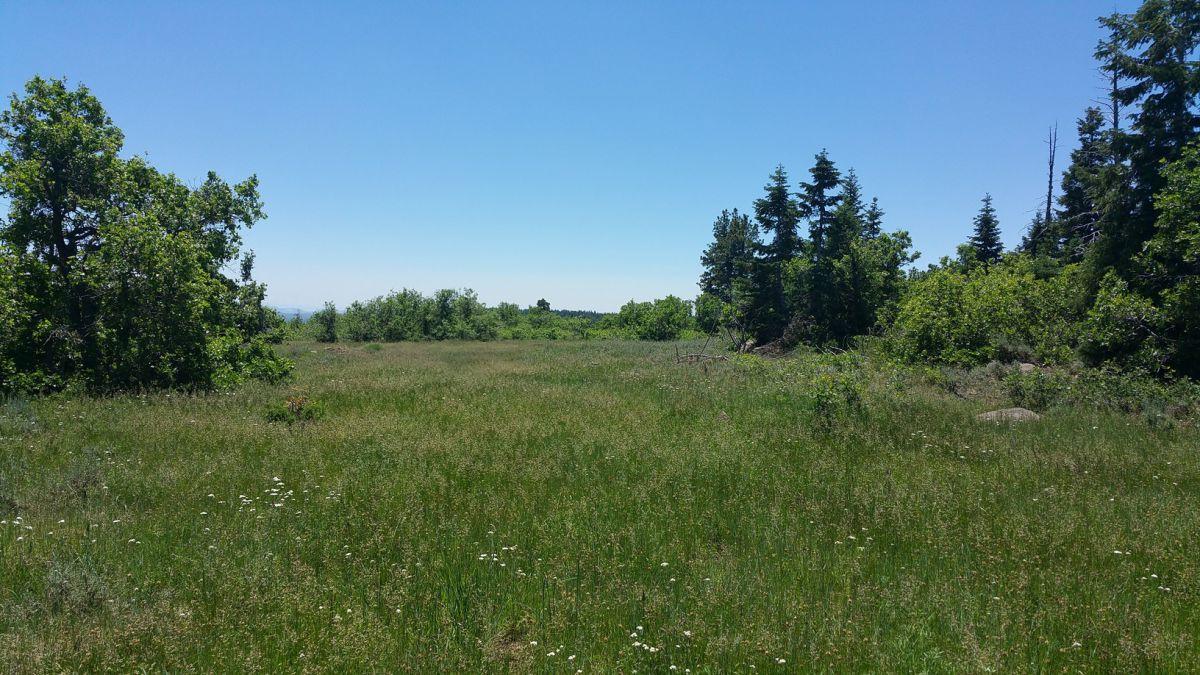Whispering Pines Lot #7, Virgin, UT 84779
