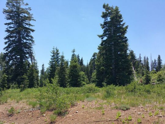 Whispering Pines Lot 53, Virgin, UT 84779