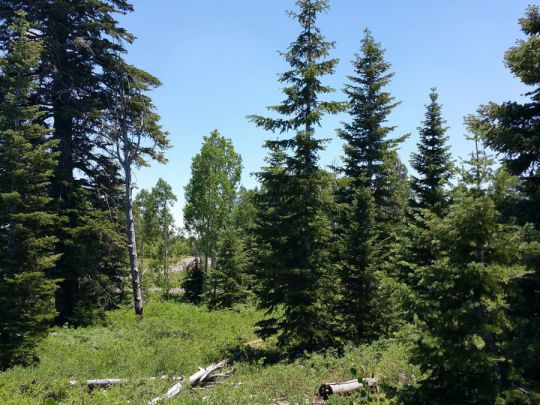 Whispering Pines Lot 53, Virgin, UT 84779