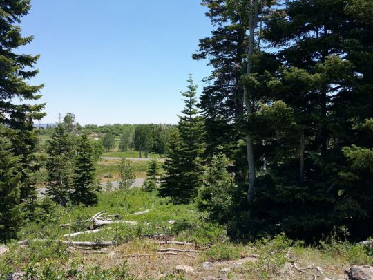 Whispering Pines Lot 53, Virgin, UT 84779