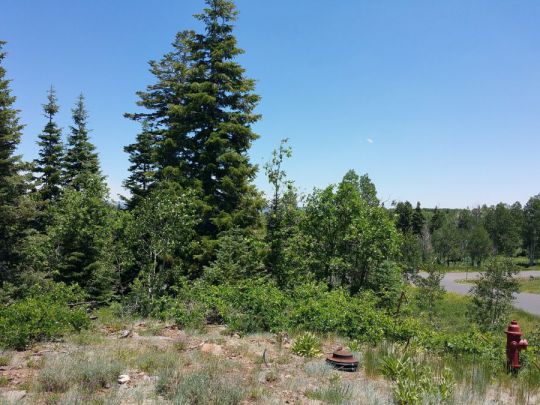 Whispering Pines Lot 53, Virgin, UT 84779