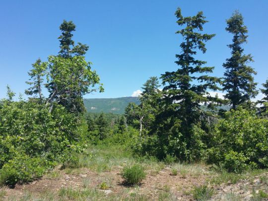 Whispering Pines Lot 7, Virgin, UT 84779